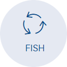 FISH: Making deviations visible within a few days.