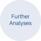 Further Analyses